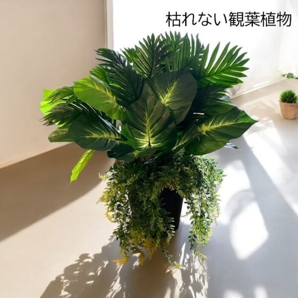 枯れない観葉植物（ヤシ）