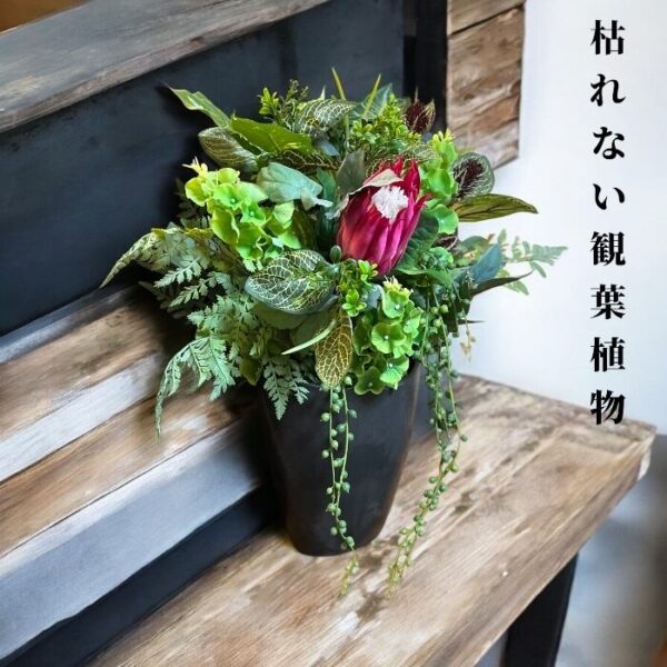 枯れない観葉植物（グリーン&プロテア）