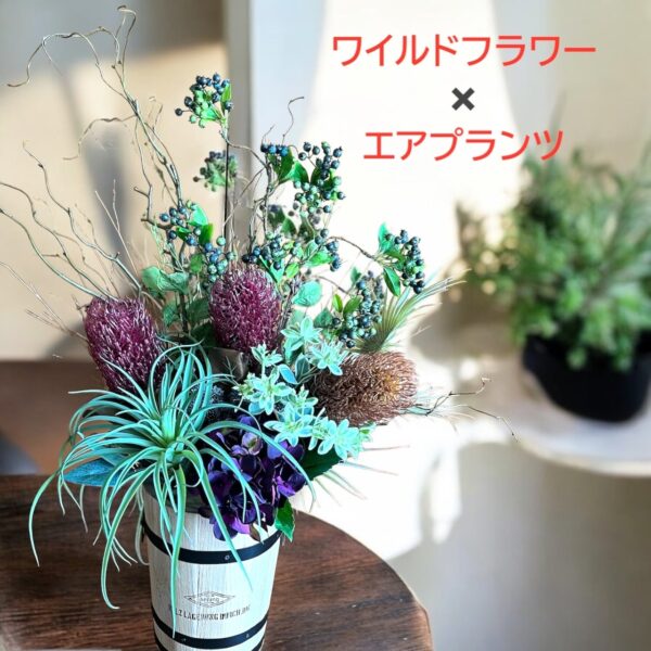 枯れない観葉植物（ワイルドフラワー&エアプランツ）