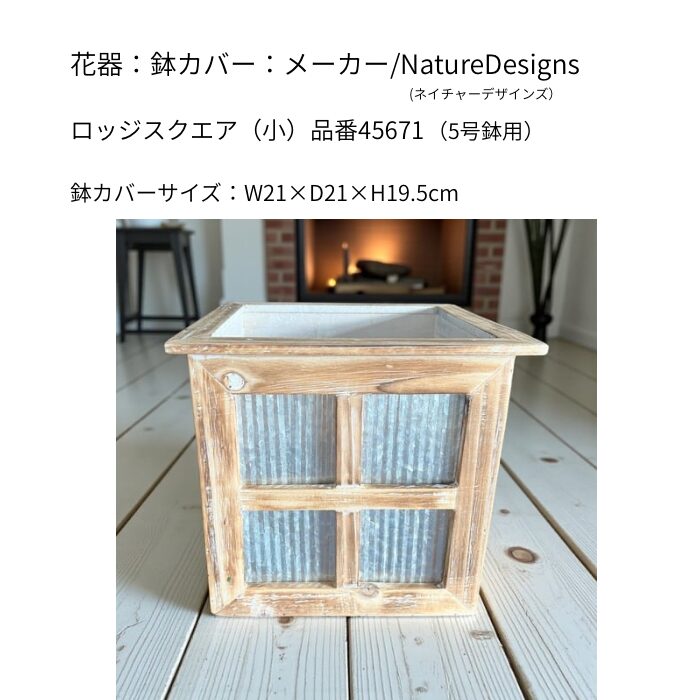 ロッジのクリスマスツリー - 画像 (3)