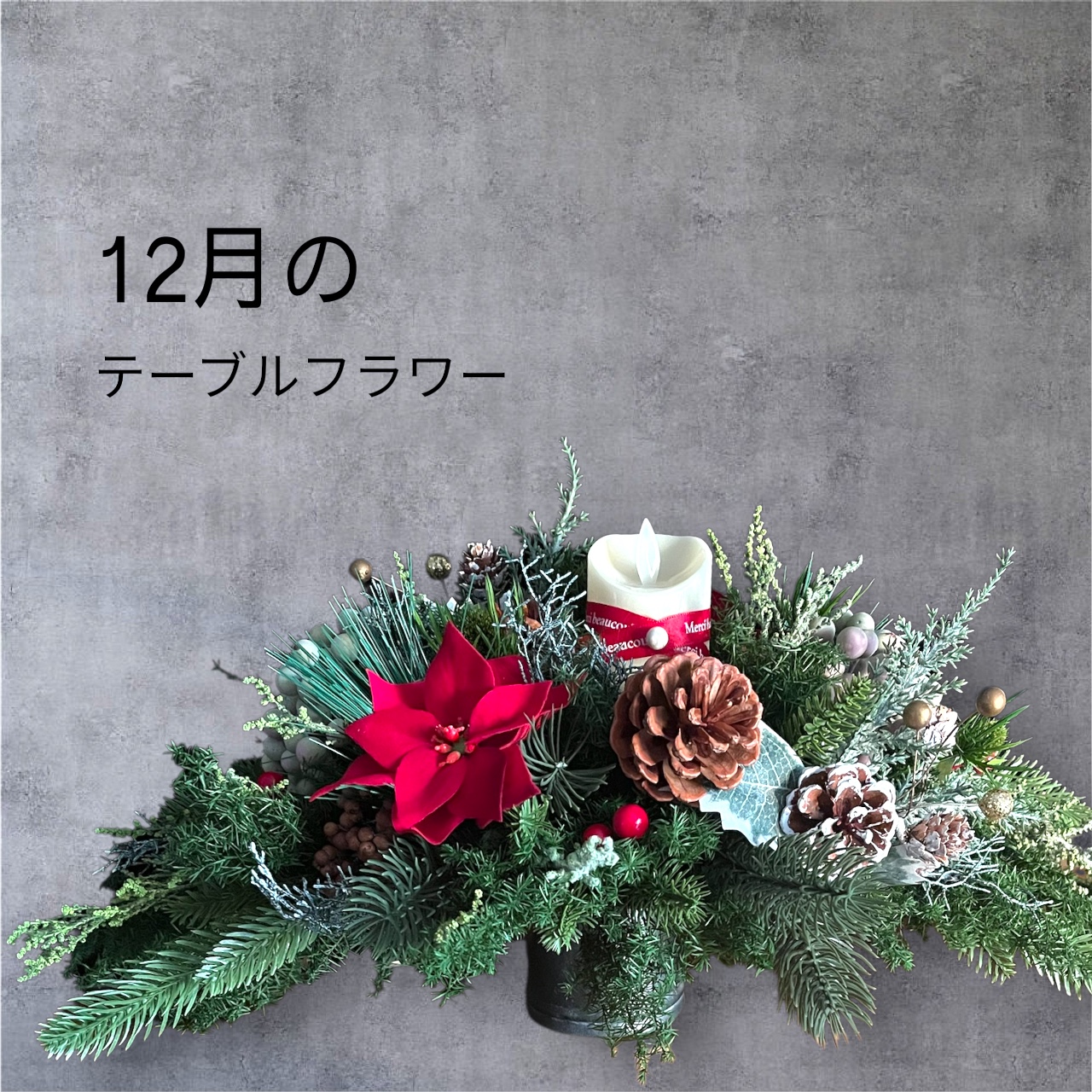 ポインセチアのキャンドルフラワー - 画像 (3)